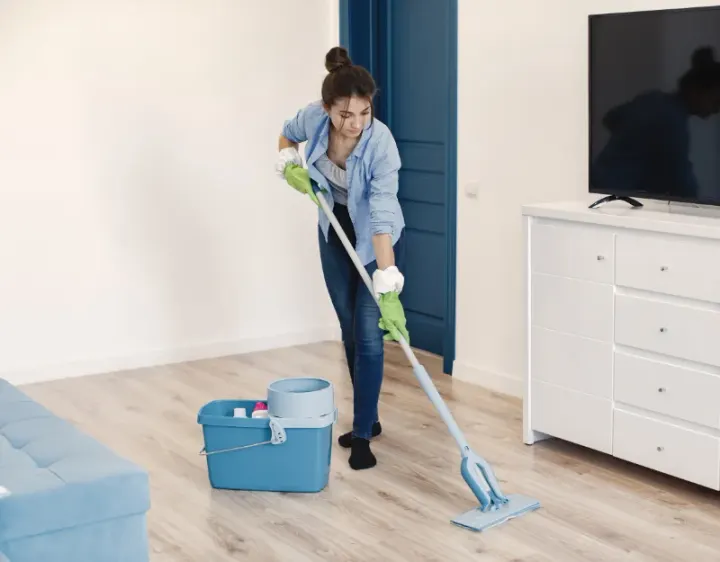 Femme de ménage Champniers